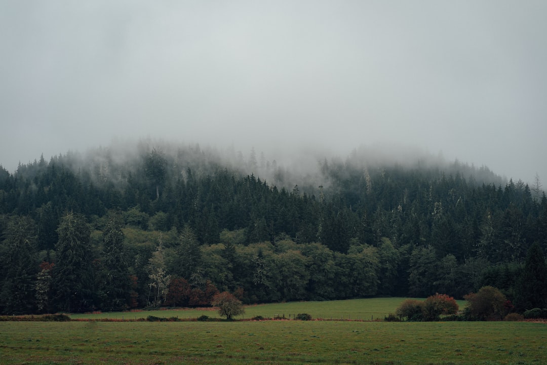 Sunnyside, Washington