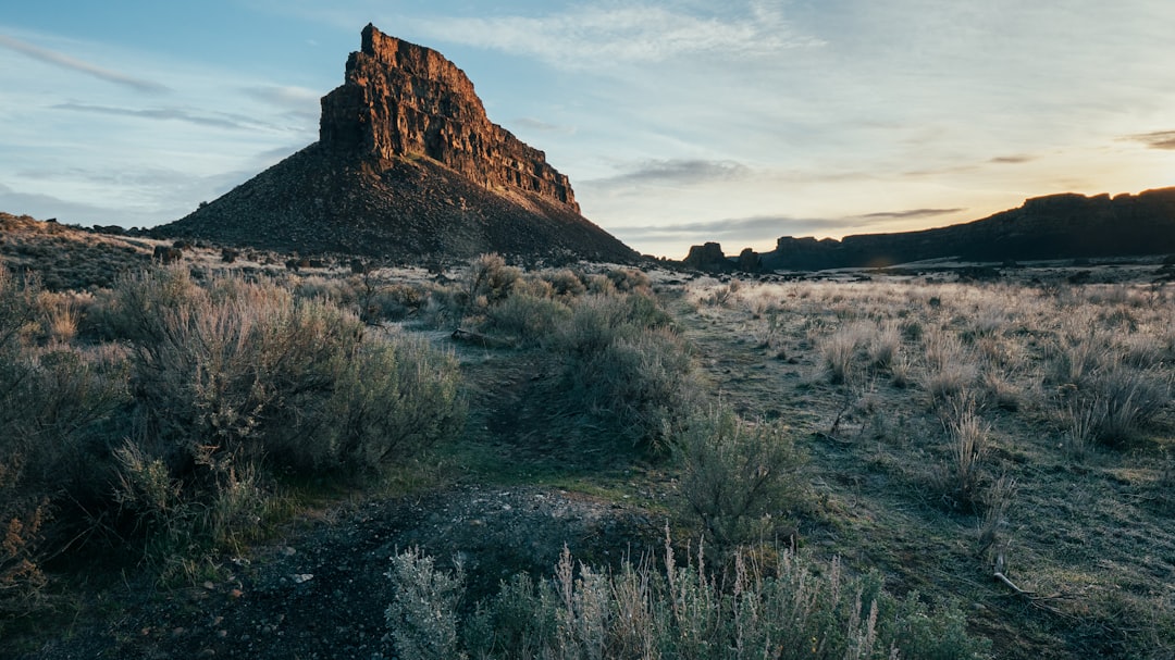Zillah, Washington
